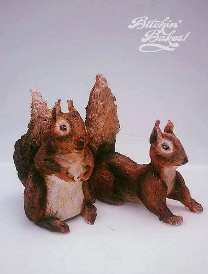 Away with the fairies - Squirrels 