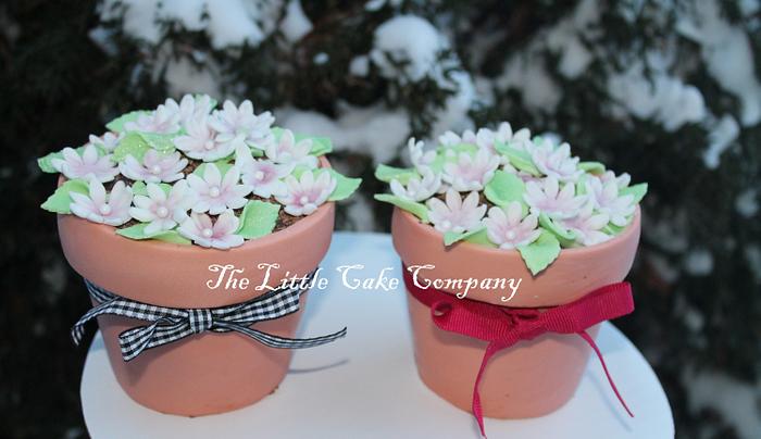 flower pot cakes