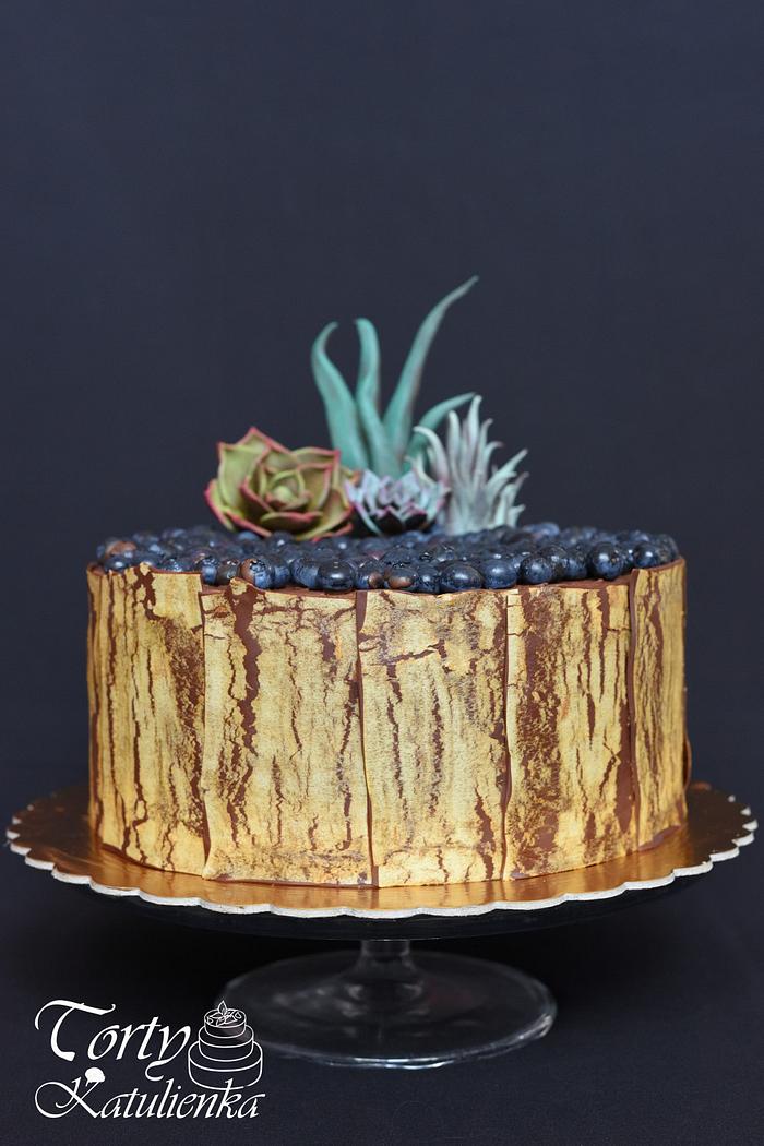 Chocolate Cake with chocolate Succulents