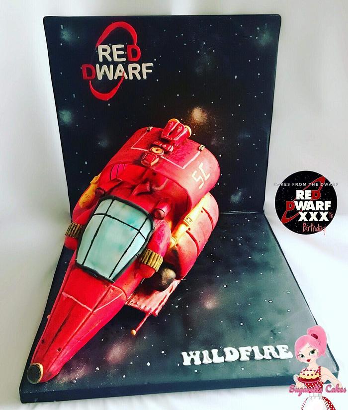 Red Dwarf cake collaboration piece