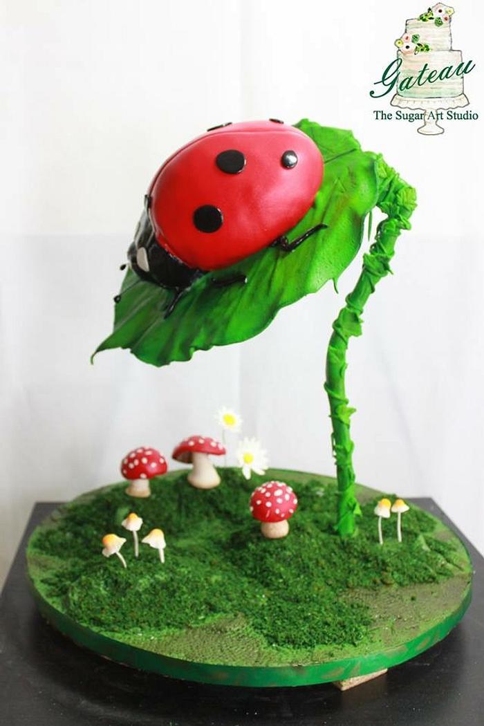 Gravity Defying Ladybug Cake