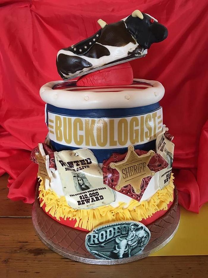 Bucking Bronco Rodeo cake