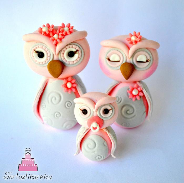 Cute owls toppers