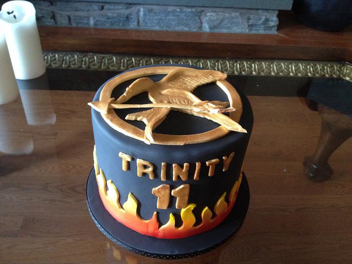 Hunger Games cake 