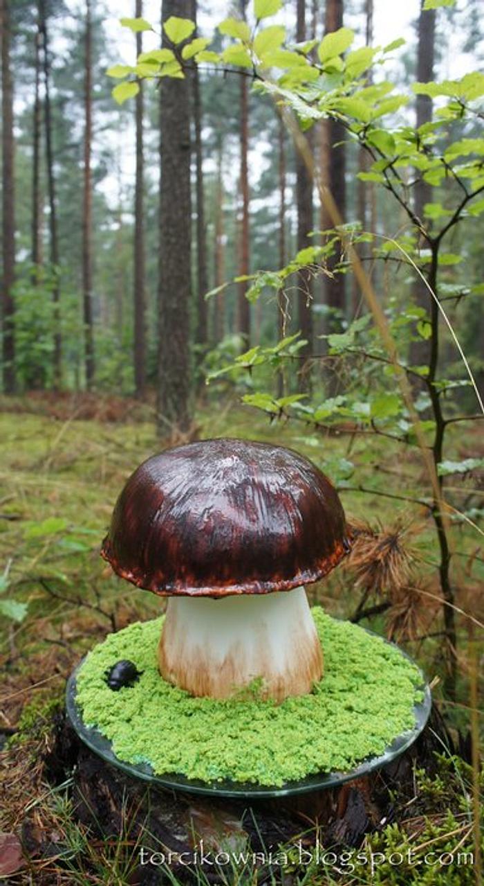 Fungus Cake