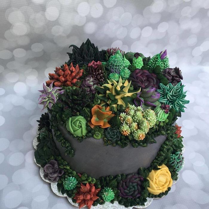 Succulent Single Tiered Cake