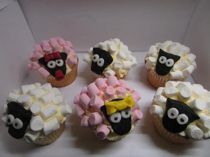 Sheep cupcakes