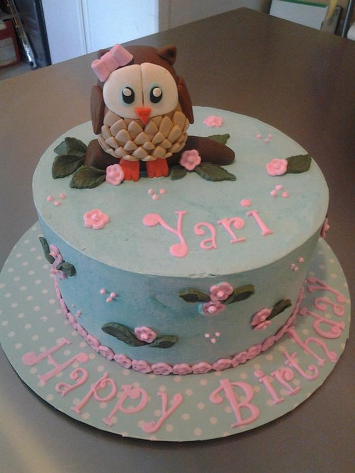 Teal & Pink Owl Cake