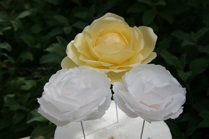 Wafer Paper Roses and Peony Rose