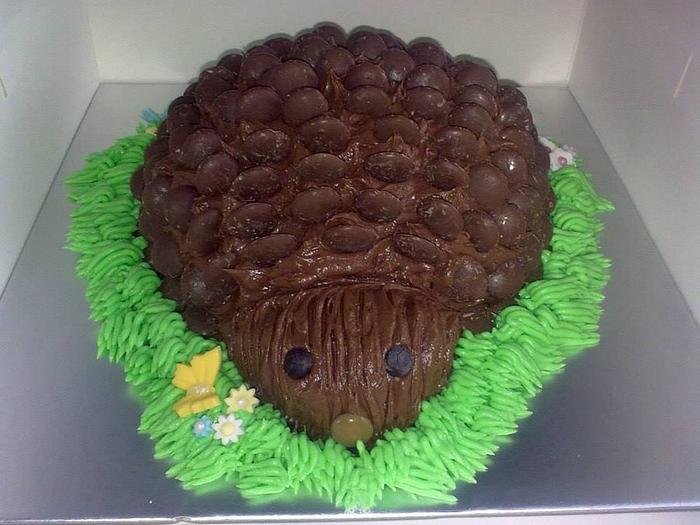Hedgehog cake