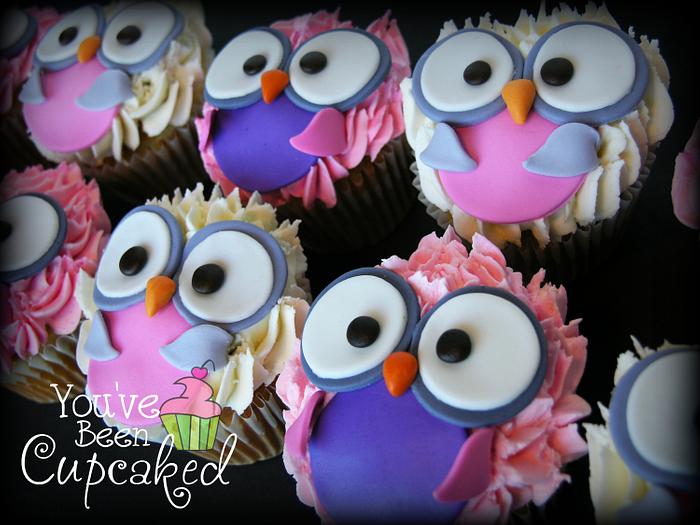 Owly Cupcakes
