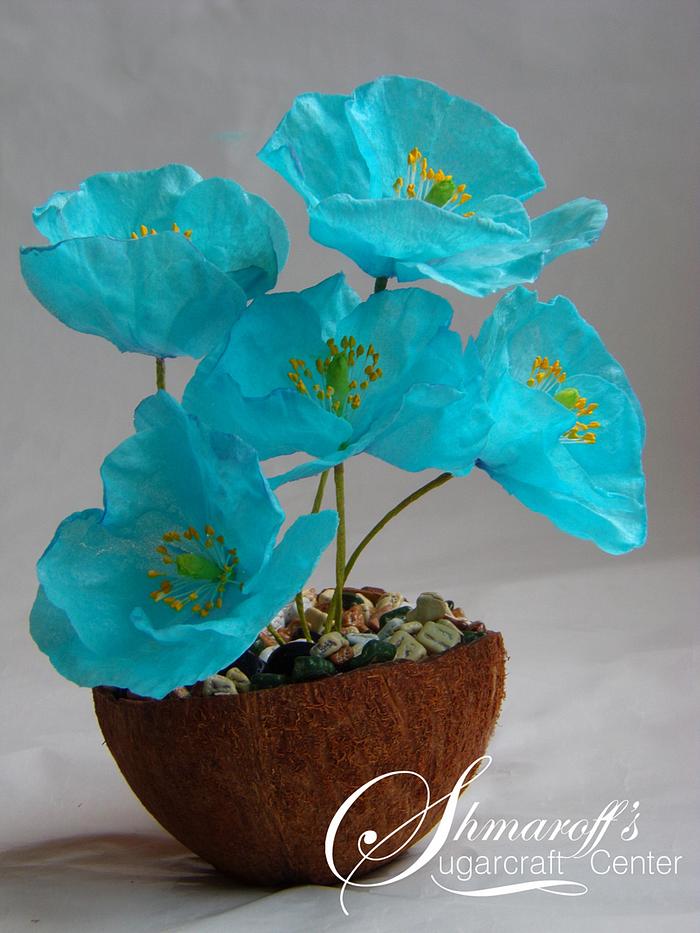 Wafer Paper Blue Himalayan Poppy