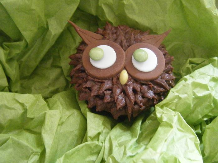 Kooky Owl Cupcake