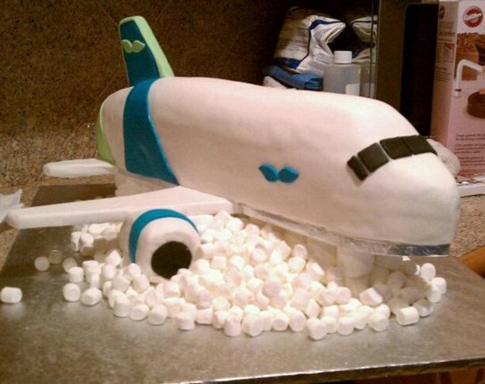3D Airplane Cake