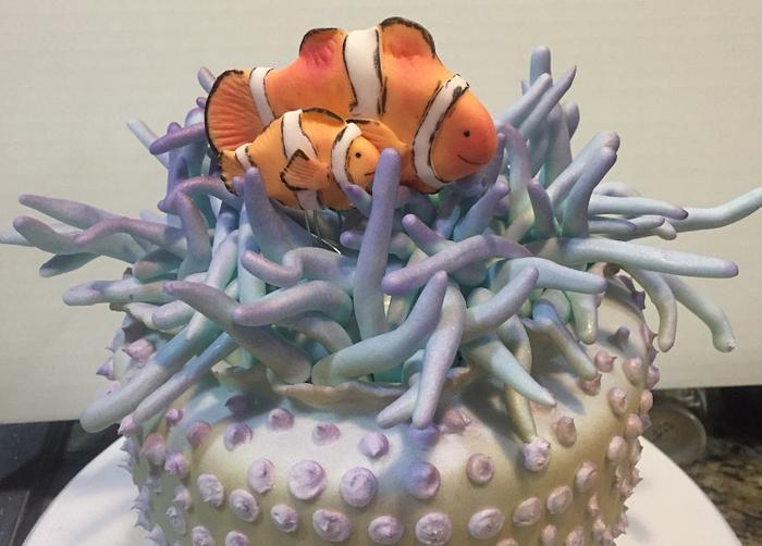 Anemone and clown fish cake 