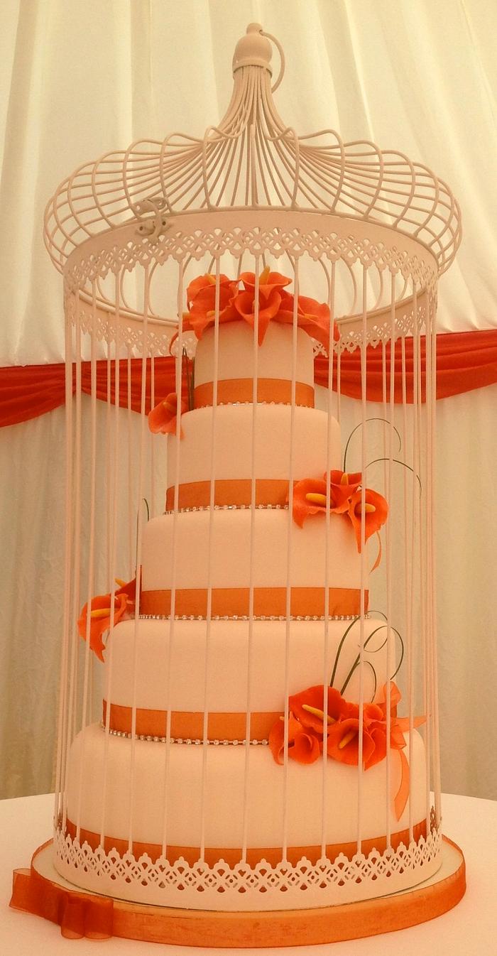 Bird cage cake 