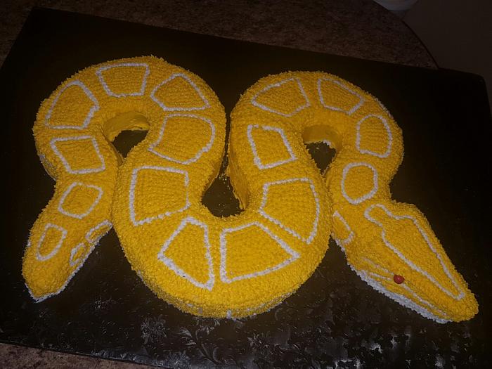 Bake Snake Cake Mould