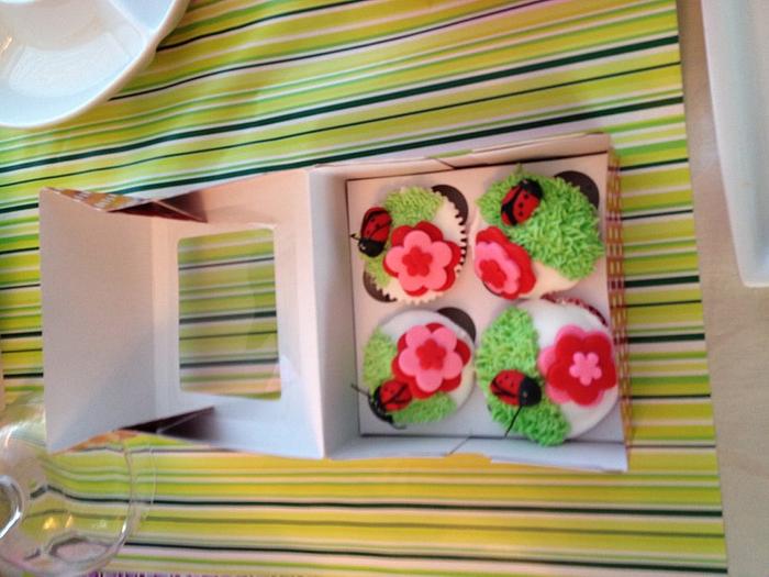 miscellaneous lady bug cupcakes