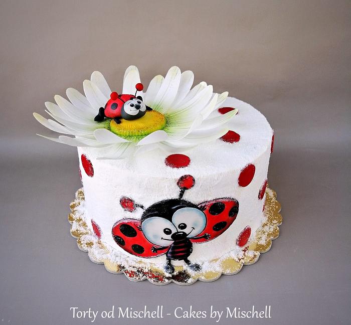 Ladybug cake