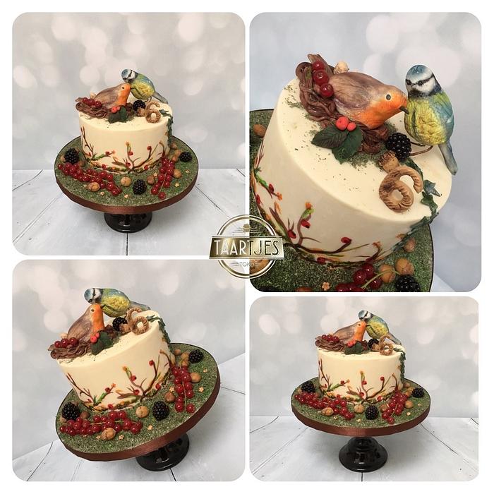 Bird cake 
