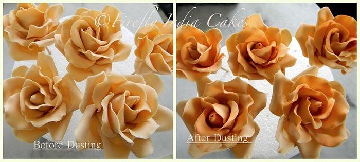 Roses Before & After Dusting