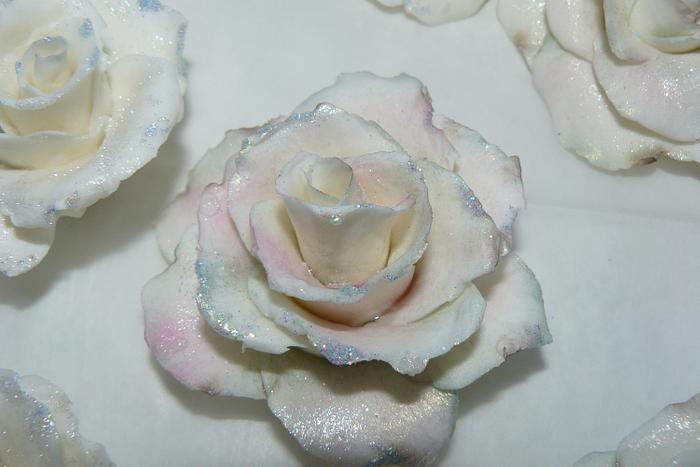 snow rose's