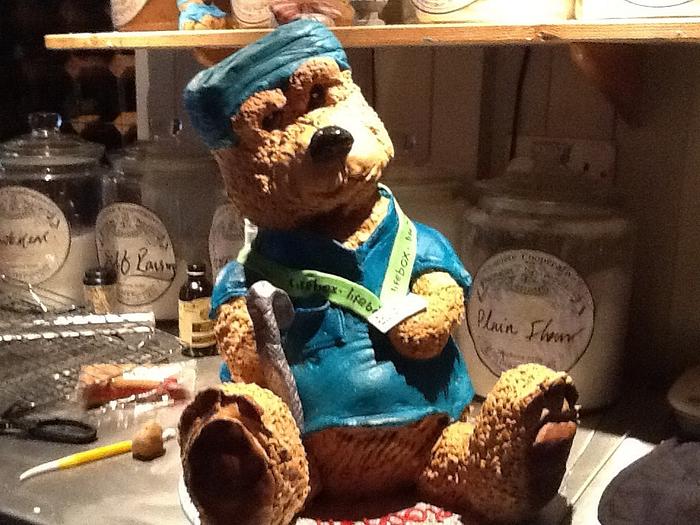 Teddy bear cake made for a charity appeal for medical equipment