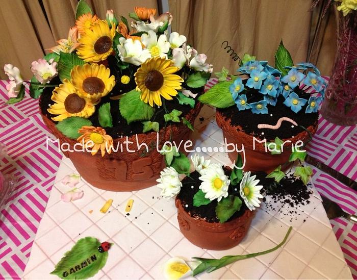 Flowerpot cakes
