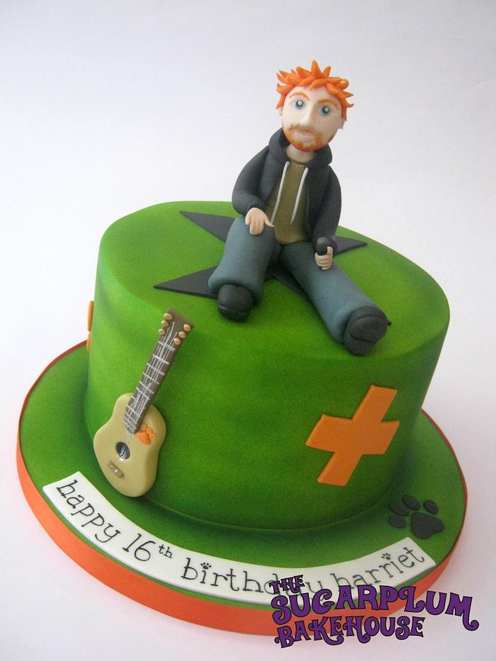 Ed Sheeran Multiply Themed Cake