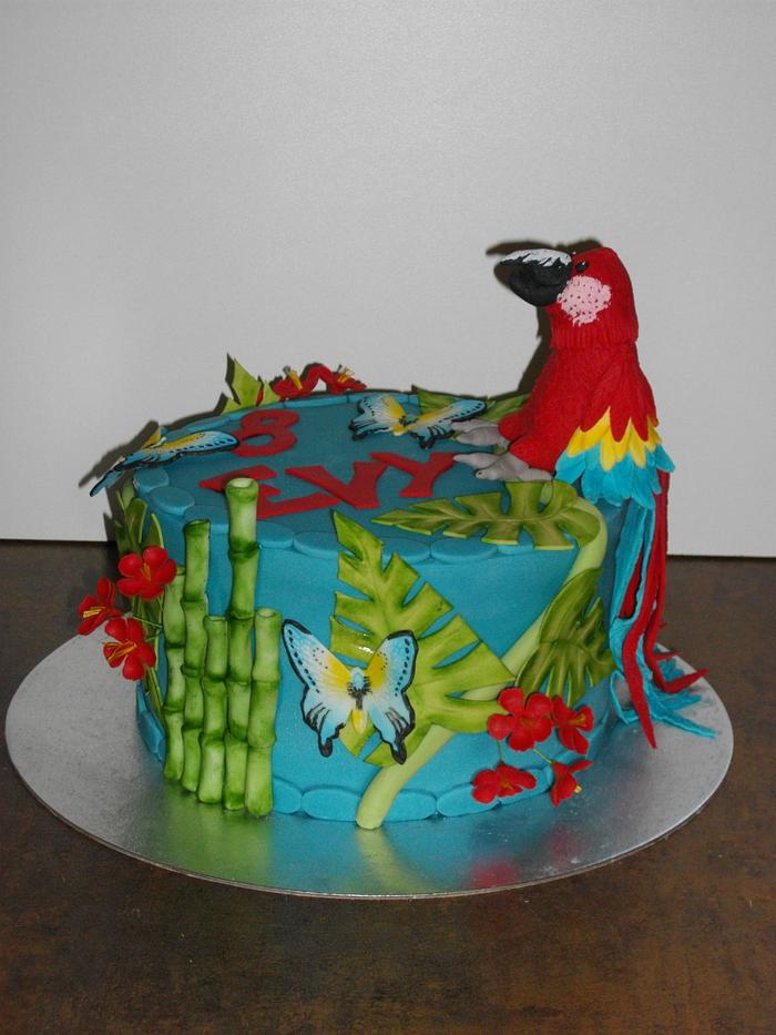 Tropical parrot cake