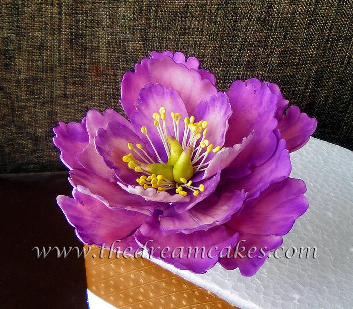 pink and purple open peony