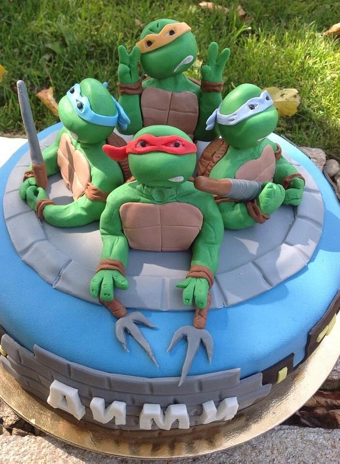 Turtle ninja cake