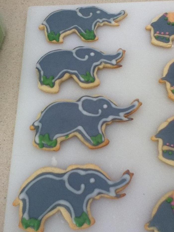 elephant cookies