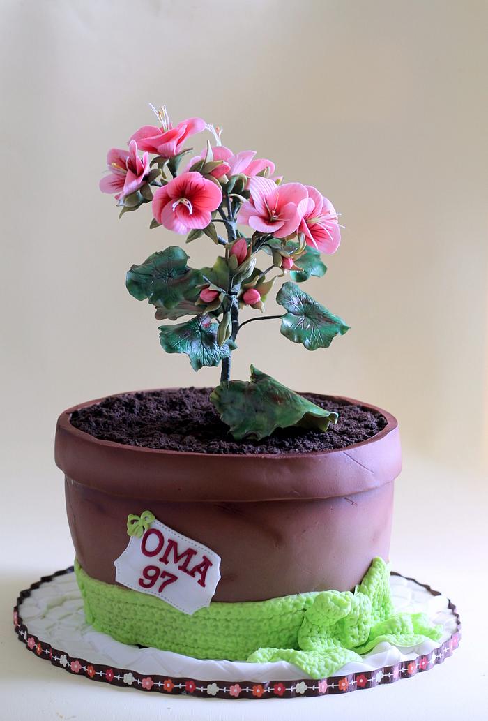 Pelargonium Cake