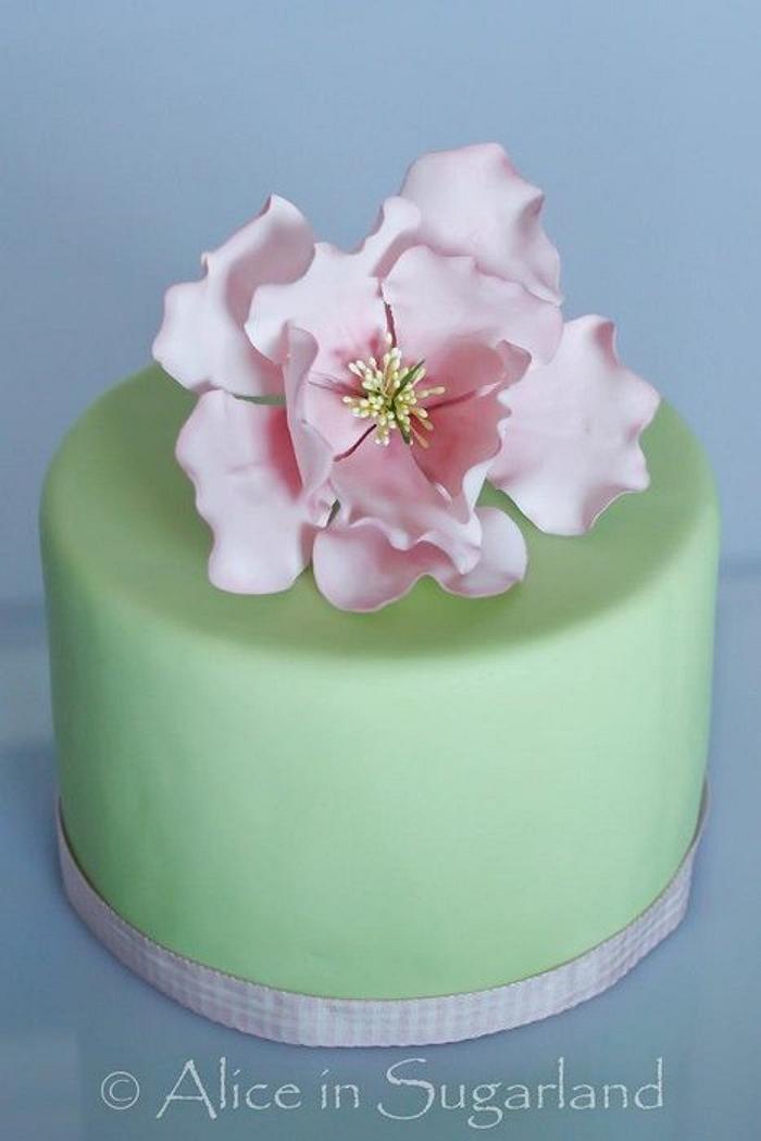 Pink & Blue Peonies Cake Flowers - Claire De Fleurs