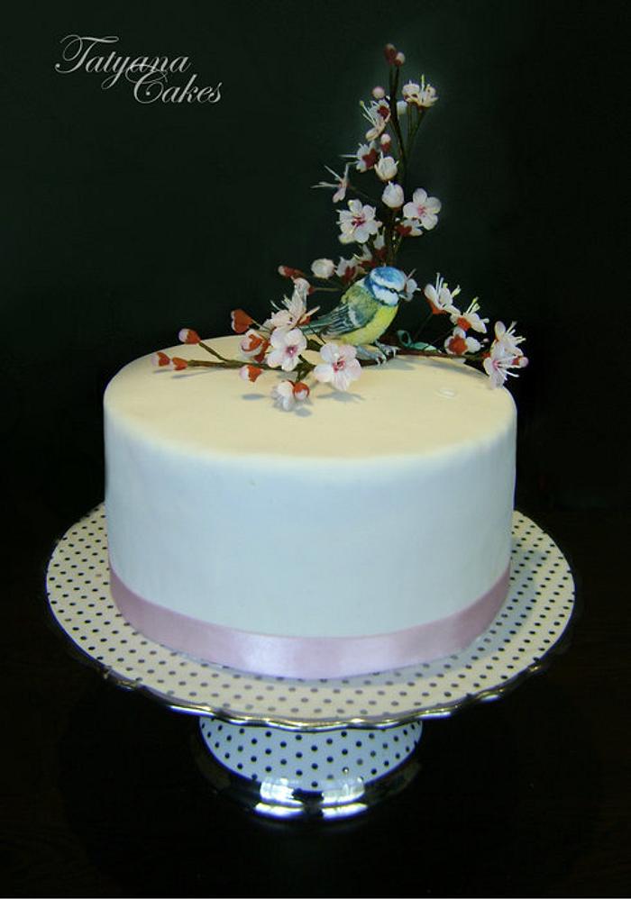 Cake with blue tit
