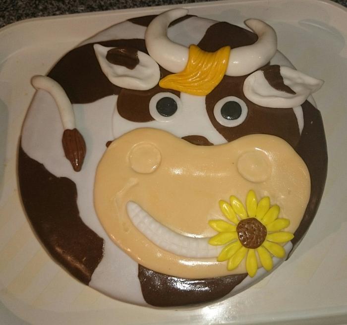  Cow cake