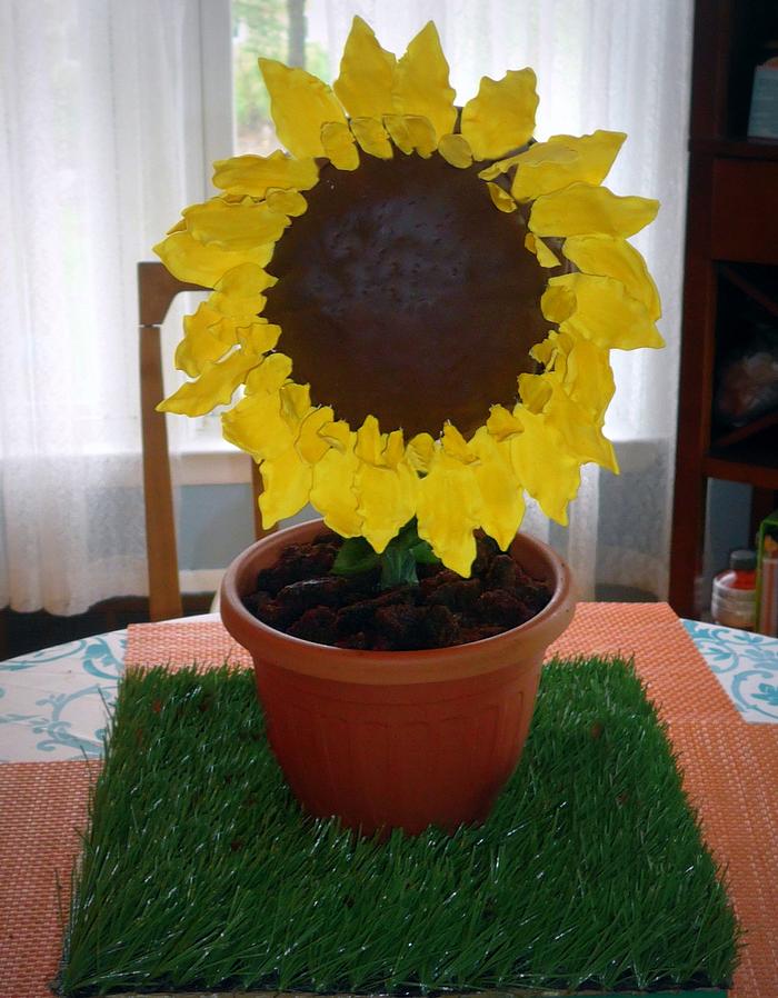 Mother's Day  Sunflower Cake