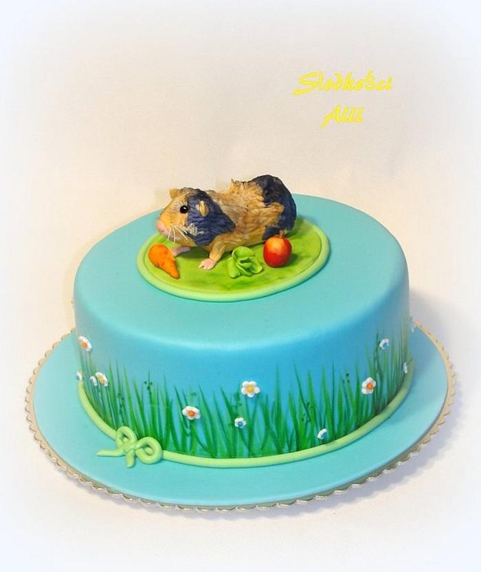 Guinea pig cake