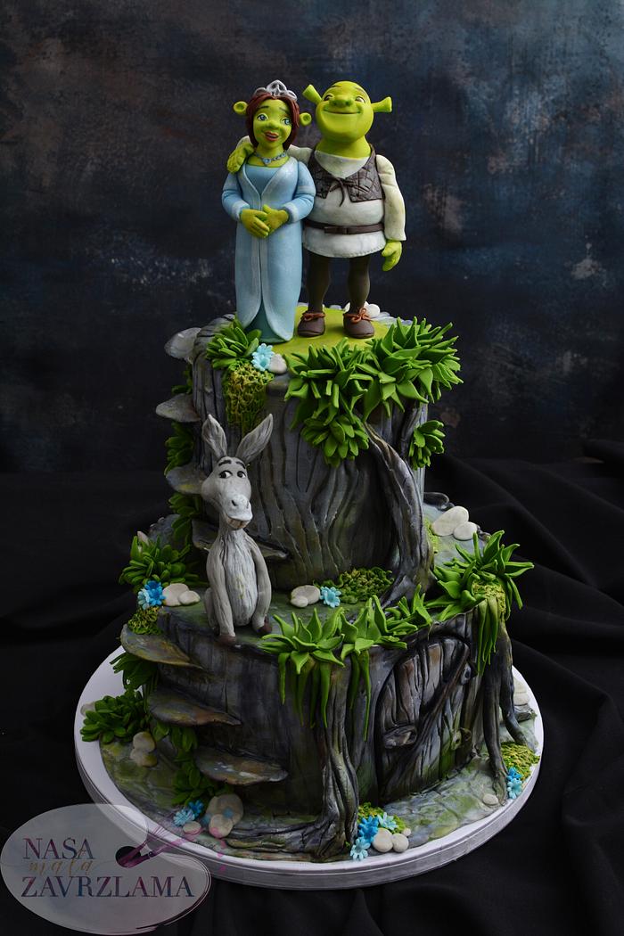 Shreks Birthday | Coast Cakes