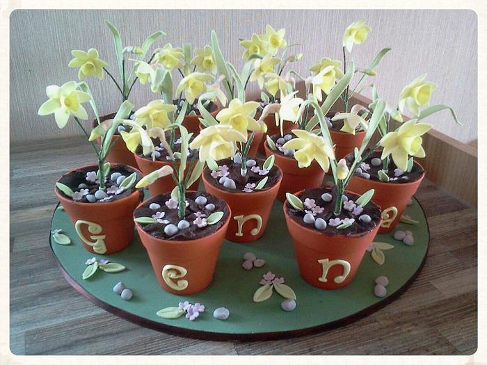 Daffodil cupcakes