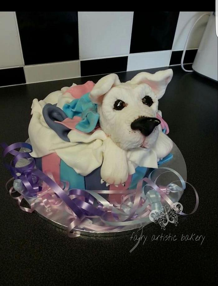puppy in a box cake 