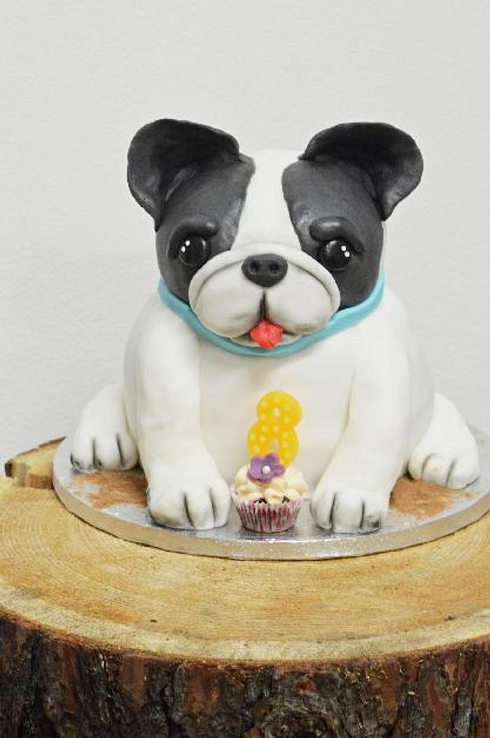 Dog cake