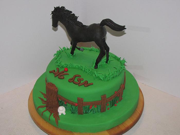 Handsculpted Fondant Horse Cake