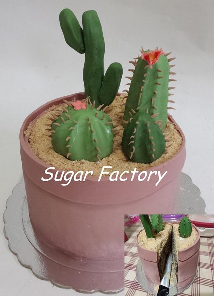 Cactus Garden Cakes - Sprinkle Bakes