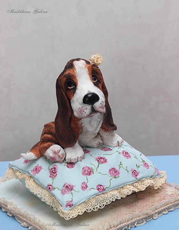3D cake Basset on the cake-pillow. Shabby chic style