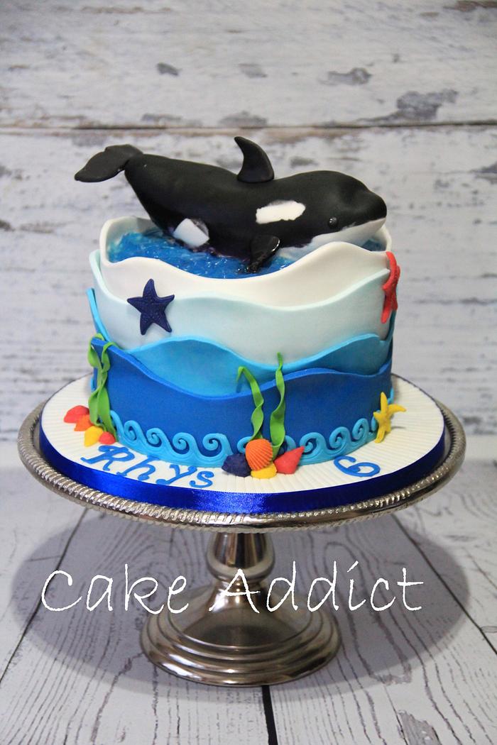 Killer whale cake