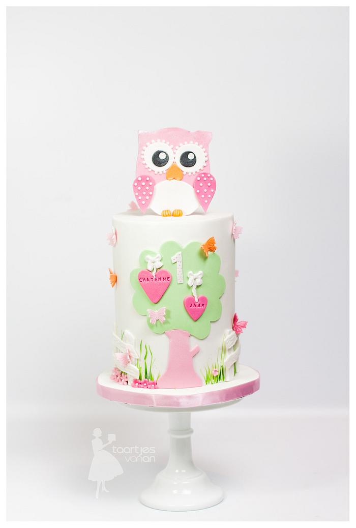 Sweet Girly Owl cake