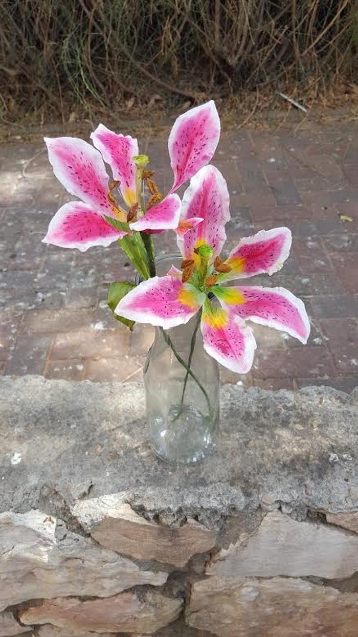 lily stargazer flower
