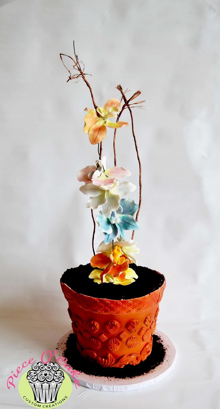 Orchid plant pot cake 